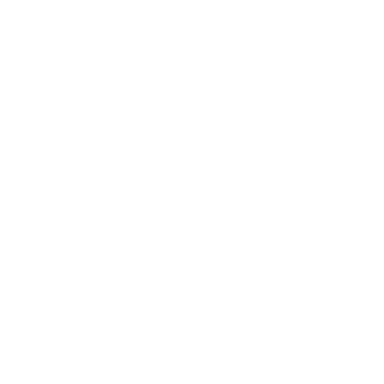 Hype House Logo